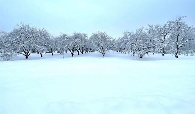 Picture 4 of Magnificent view of Russian winter: Moscow in a snow cloak