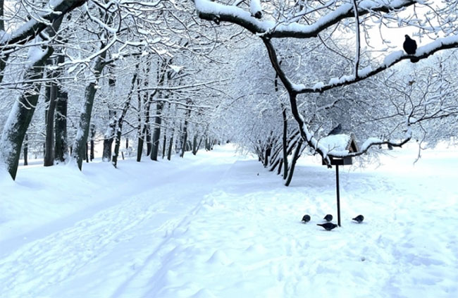 Picture 6 of Magnificent view of Russian winter: Moscow in a snow cloak