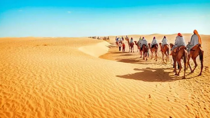 Many countries propose to put seawater in the desert, but this will return the Earth to an ice age! Picture 4