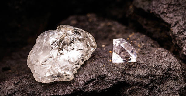 Picture 3 of Many times after digging up diamonds, geologists discovered: Wherever there is this tree, there may be treasure