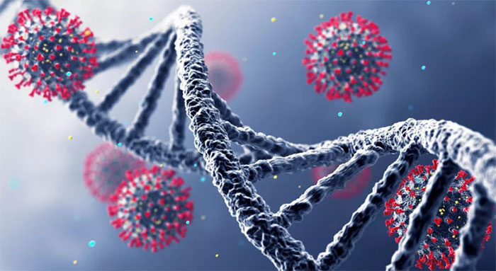Picture 1 of Many worrying new discoveries: Viruses are increasingly dangerous to humanity