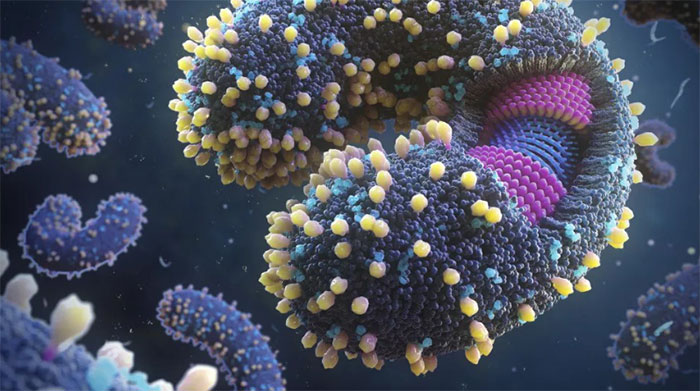 Picture 3 of Many worrying new discoveries: Viruses are increasingly dangerous to humanity