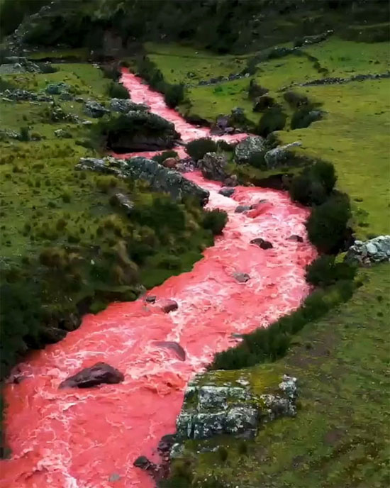 Picture 1 of Marvel at the pink river in Peru