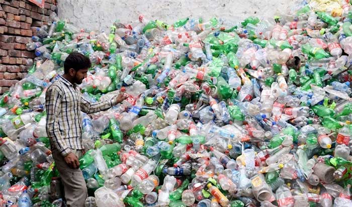 Mealworms - a promising solution to the threat of plastic waste Picture 1