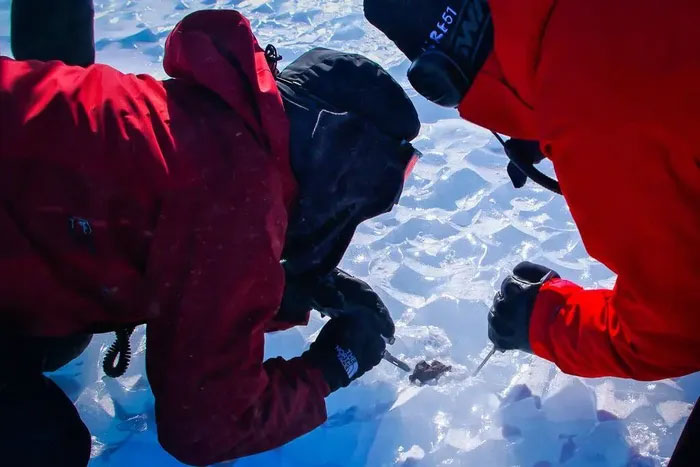 Picture 2 of Melting ice causes alien treasures to 'hide' in Antarctica