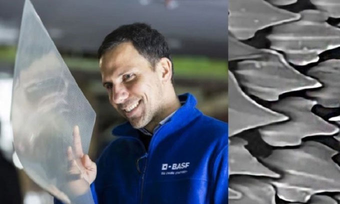 Picture 1 of Membrane like shark skin helps airplanes save fuel
