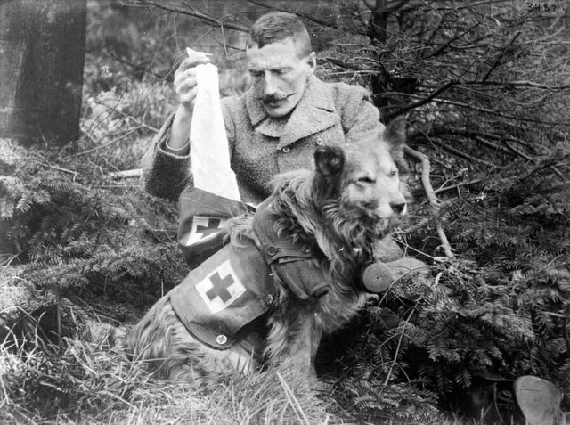 Picture 4 of Mercy dog ​​- Unsung heroes of World War I