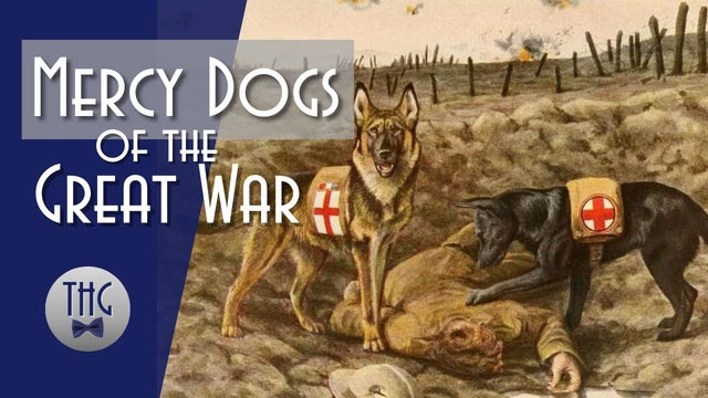 Picture 6 of Mercy dog ​​- Unsung heroes of World War I
