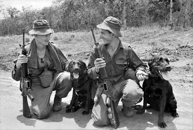 Picture 8 of Mercy dog ​​- Unsung heroes of World War I