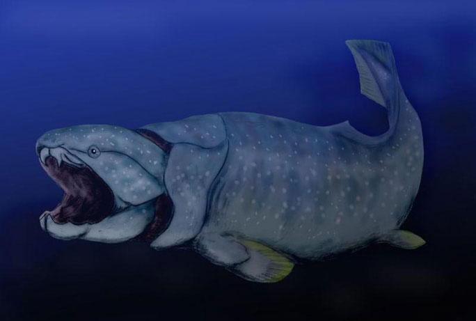 'Mermaid' hidden in ourselves: Bring fish to the teeth Picture 1