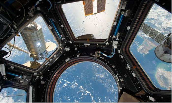 Microorganisms, mold 'attack' Space Station: Will they harm astronauts? Picture 6