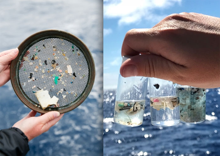 Picture 1 of Microplastics - An incalculable danger to the ocean