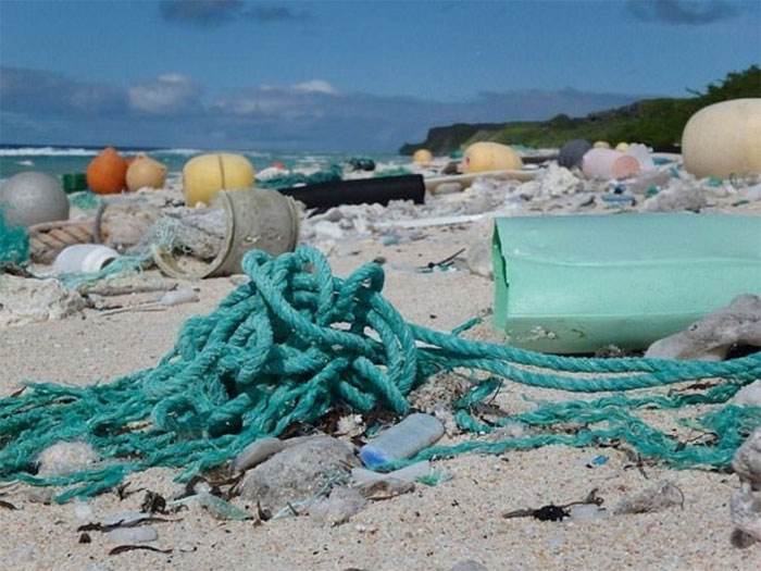 Picture 2 of Microplastics - An incalculable danger to the ocean