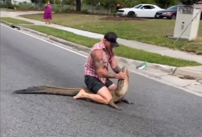 MMA wrestler uses his bare hands to catch a crocodile Picture 1