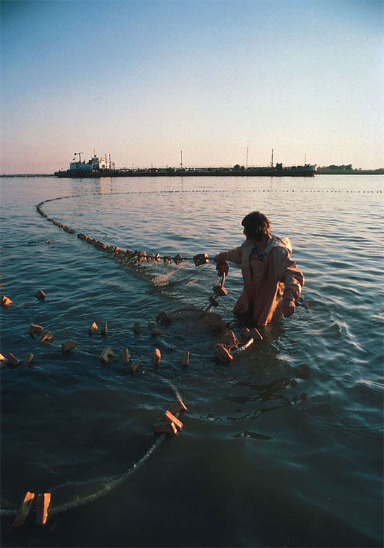 Picture 3 of 'Monster fish' in Russia's 1,642m deep lake: Inside there is an extremely expensive 'pearl', spending too much money may not be able to buy it