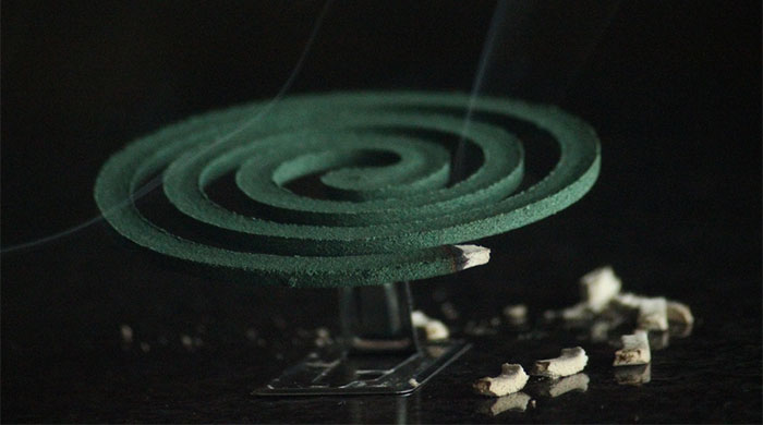Picture 2 of Mosquito-borne virus can cause nerve damage