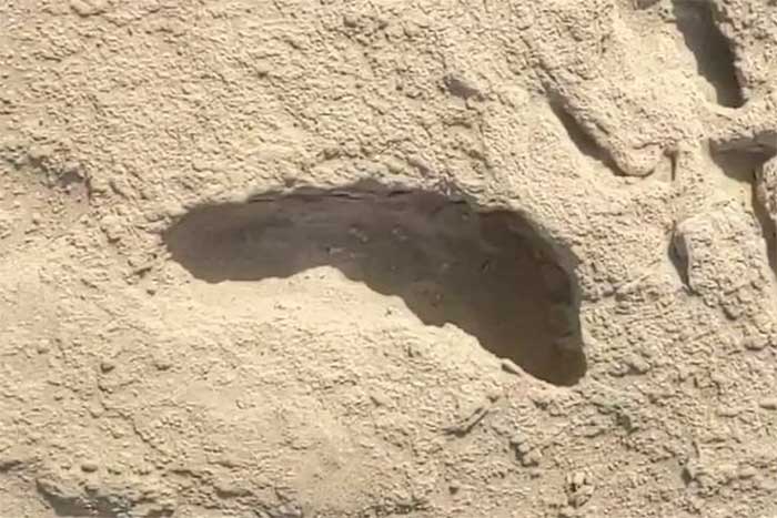Picture 1 of Mysterious 1.5 million year old footprints reveal surprise