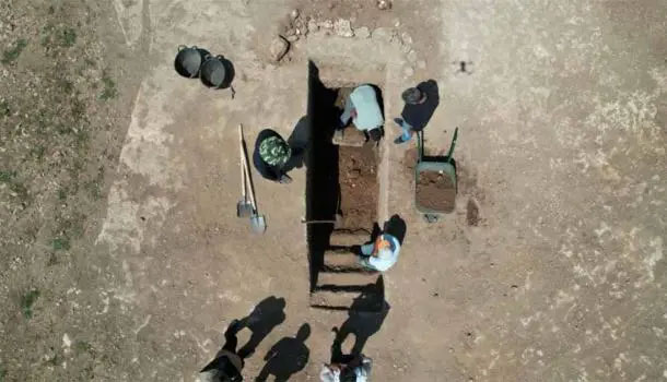 Mysterious 2,000 year old tomb on the side of the road, guarded by a pair of 'divine cows' Picture 2