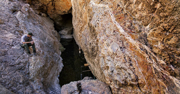 Picture 2 of 'Mysterious' fish species: There were 37 fish left, living in Devil's Hole, conservation costs amounted to more than 90 billion VND