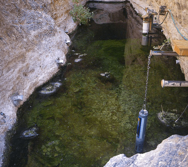 Picture 6 of 'Mysterious' fish species: There were 37 fish left, living in Devil's Hole, conservation costs amounted to more than 90 billion VND