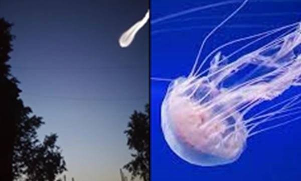 Picture 3 of Mysterious jellyfish-shaped object flying into Earth's atmosphere worries many people