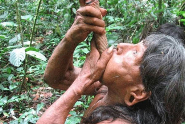 Picture 2 of Mysterious tribe in Africa - where people eat mosquitoes and are completely dumb