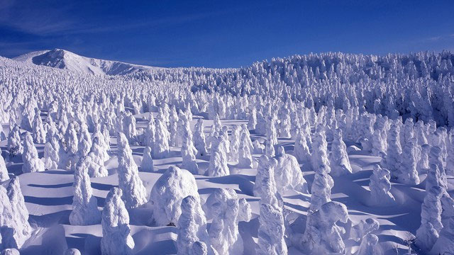 Picture 13 of Mysterious wonders of the world