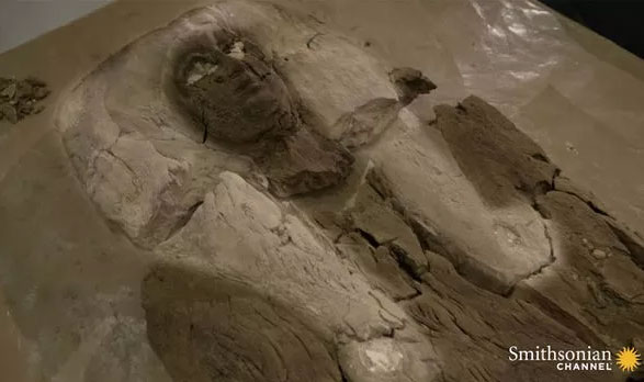 Picture 3 of Mystery of the mummy of the woman mistaken for an Egyptian pharaoh