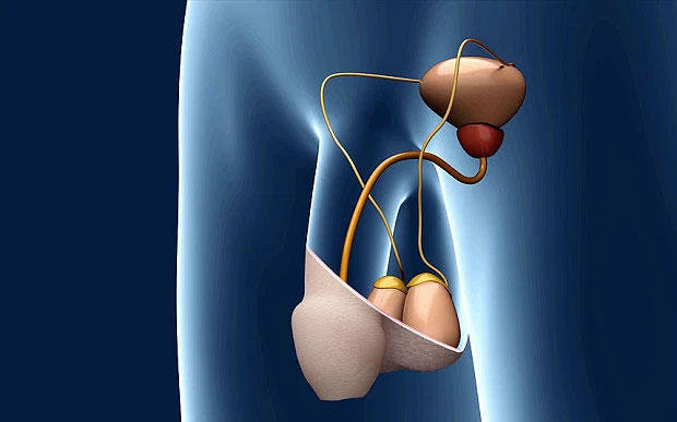 Picture 5 of Nanoparticles that heat testicles can help men avoid pregnancy for 7 days