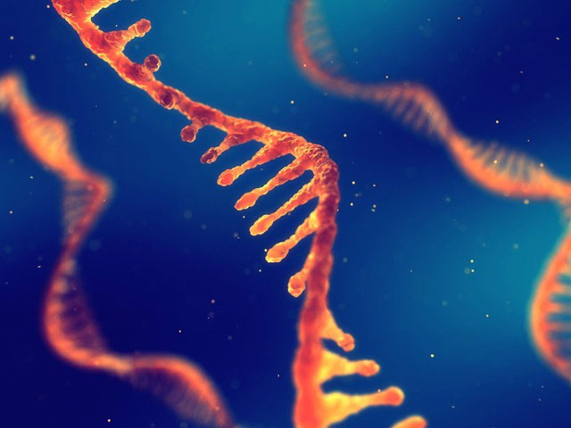 Picture 4 of NASA Discovers an RNA Strain That Could Redefine the Origin Story of Life