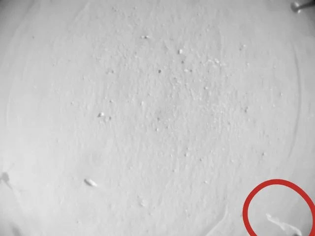 NASA spacecraft caught in toilet paper-like debris Picture 2