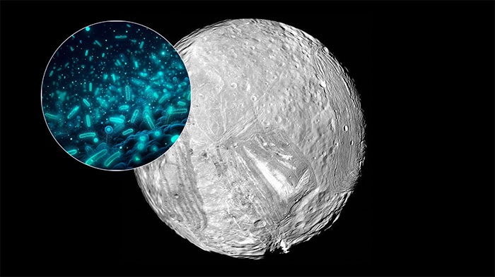 Picture 1 of NASA spacecraft finds new world that could contain water and life