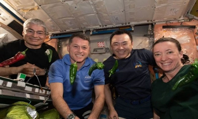 Picture 1 of NASA's space chili sets two new records