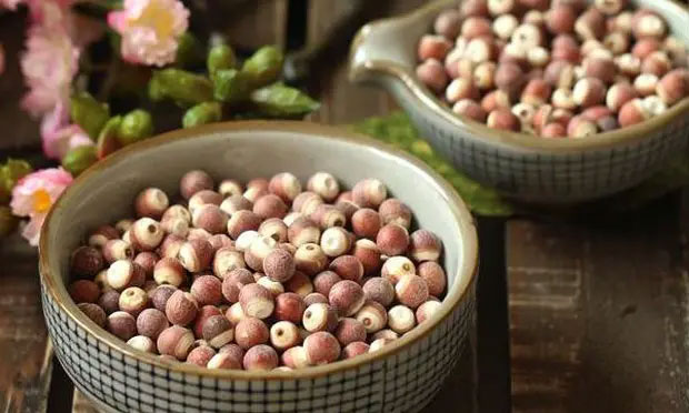 Picture 2 of Netizens talk about the strange fruit picked from the black mud, with seeds like pomegranate seeds