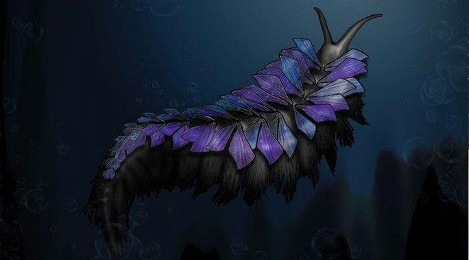 Picture 1 of New 500 million year old species is as terrifying as 'alien creatures'
