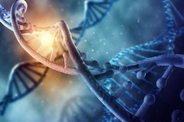 Picture 1 of New discoveries about human DNA.