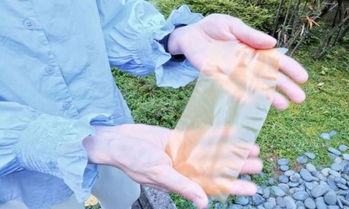New paper made from pollen can be printed and erased many times Picture 1