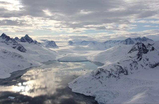 New polar bear population discovered in Greenland Picture 3