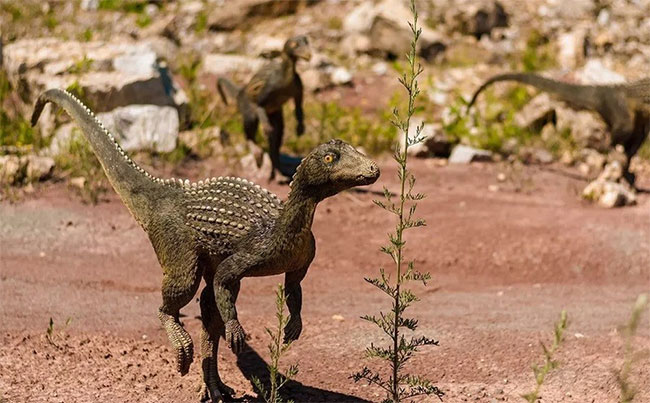 Picture 1 of New research reveals the cause of the mass death of dinosaurs