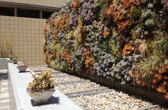 Picture 1 of New research shows: 'Living wall' reduces heat loss from buildings by 30%
