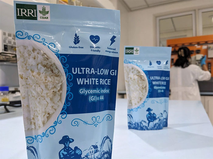 Picture 1 of New rice variety that helps reduce diabetes will be grown commercially in 2025