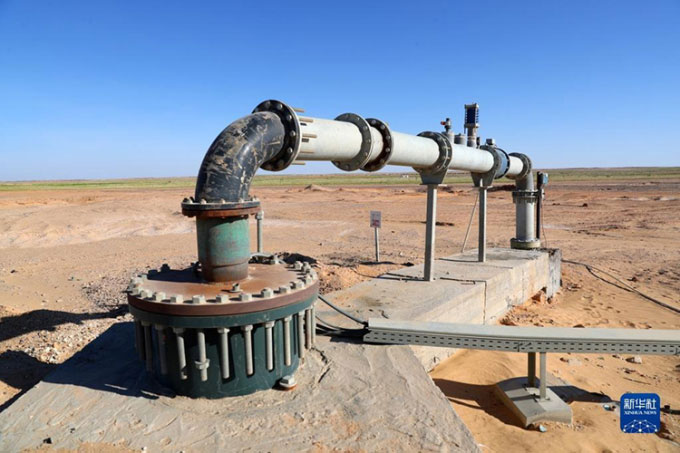 New technology helps Egypt grow sugar beets in the desert Picture 3