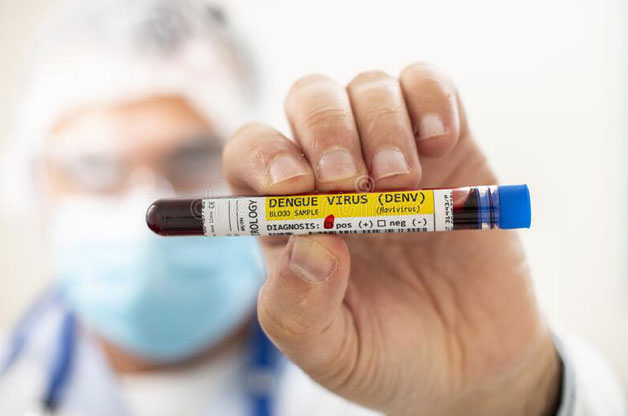 Picture 1 of New technology helps to quickly diagnose dengue fever