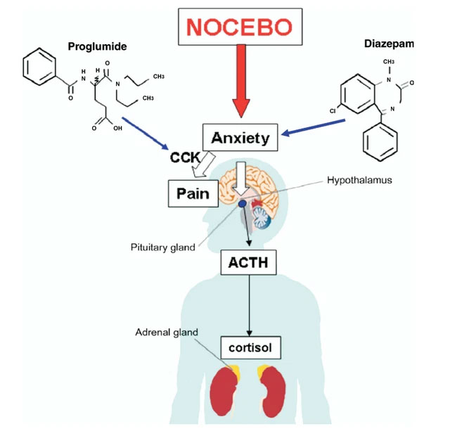 Nocebo: Strange effect after vaccination with Covid-19 vaccine Picture 3