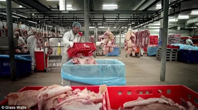 Once you know how marshmallows are made, you won't want to eat them anymore Picture 2