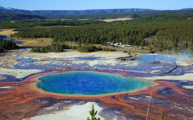 Picture 1 of One of the loneliest species on Earth, living 2,800m underground and surviving on radioactive energy