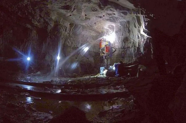 Picture 3 of One of the loneliest species on Earth, living 2,800m underground and surviving on radioactive energy