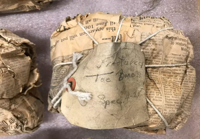 Picture 1 of Open the old newspaper package, shocked by the extremely rare 70-million-year-old 'treasure'