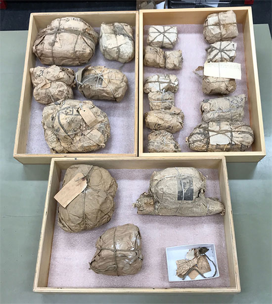 Picture 2 of Open the old newspaper package, shocked by the extremely rare 70-million-year-old 'treasure'