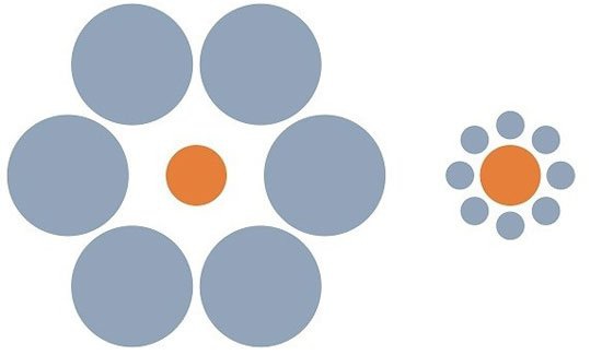 Optical illusion causes chess pieces to disappear right in front of your eyes Picture 2